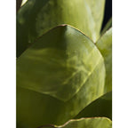 Gartenoase Agave Exklusive Dekoskulptur aus Eisen in 3 verschiedenen Größen