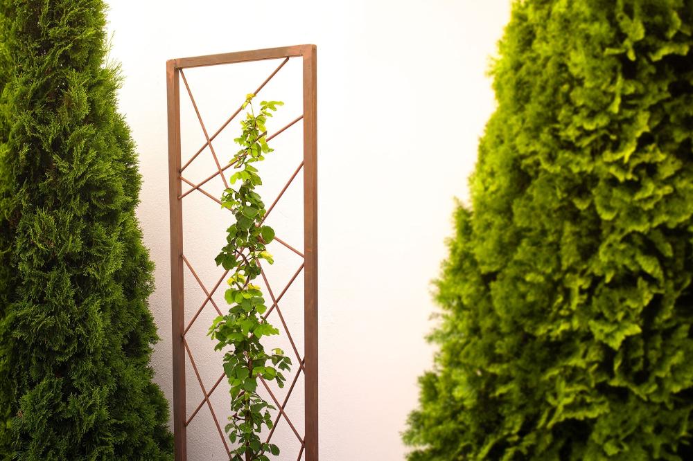 Naheaufnahme der Rankhilfe - Abstrakt mit hochwertiger Edelrost-Patina. Das funktionale und dekorative Element sorgt für eine stabile Unterstützung von Kletterpflanzen und bringt durch seine zeitlose Formgebung einen modernen Akzent in Ihren Außenbereich.