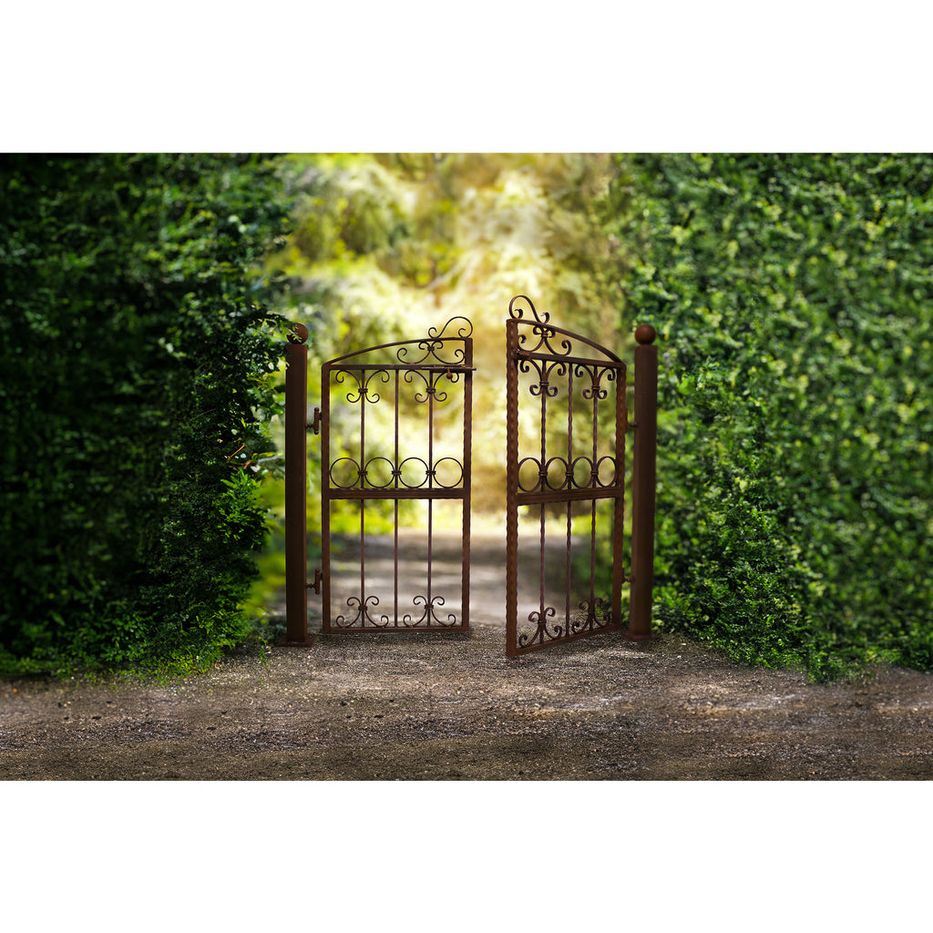 Gartentor Schmiedeeisen Edelrost Patina, Gartentür, Eingangspforte Antik-Optik