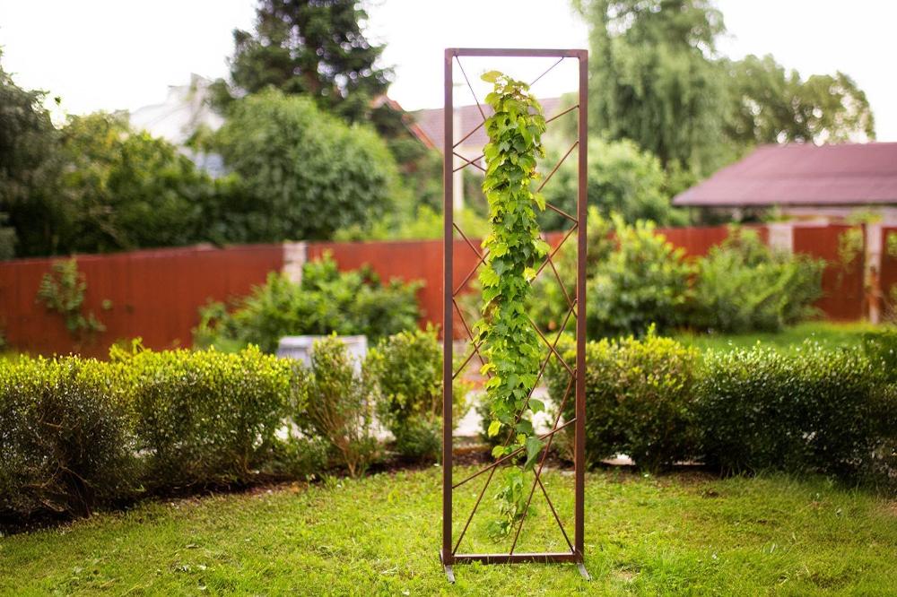 Rankhilfe Abstrakt aus Metall mit Rostpatina Rankgitter modern