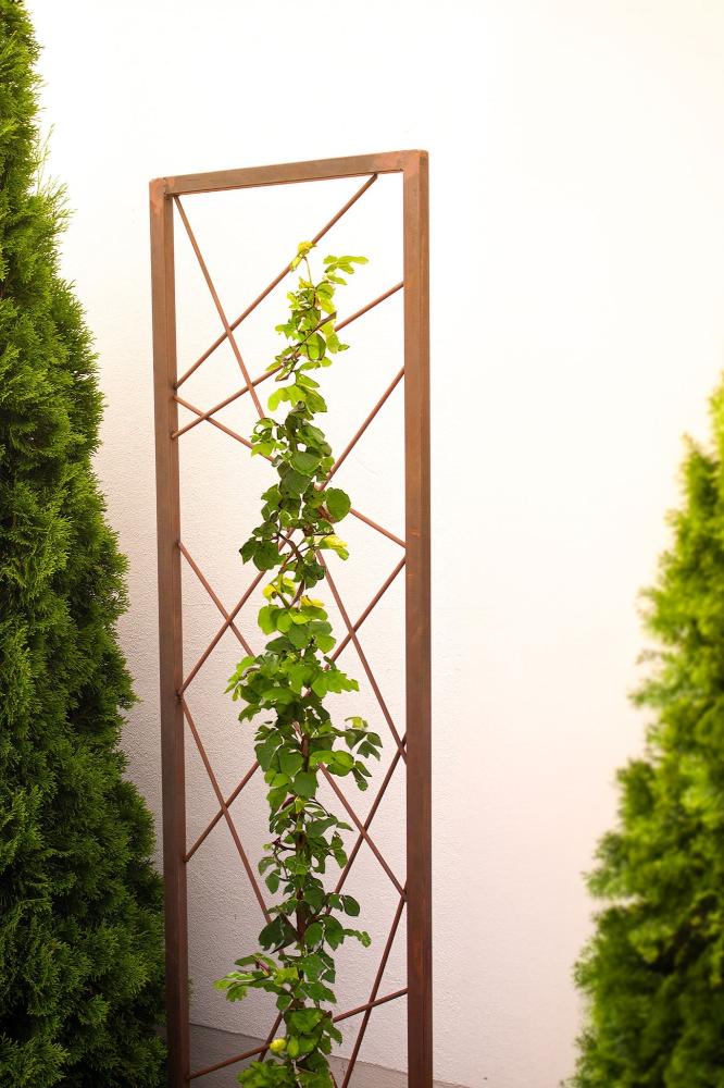 Rankhilfe Abstrakt aus Metall mit Rostpatina Rankgitter modern