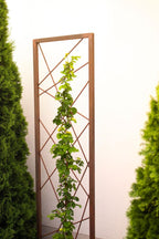 Rankhilfe Abstrakt aus Metall mit Rostpatina Rankgitter modern