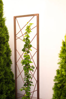 Rankhilfe Abstrakt aus Metall mit Rostpatina Rankgitter modern Pflanzengitter