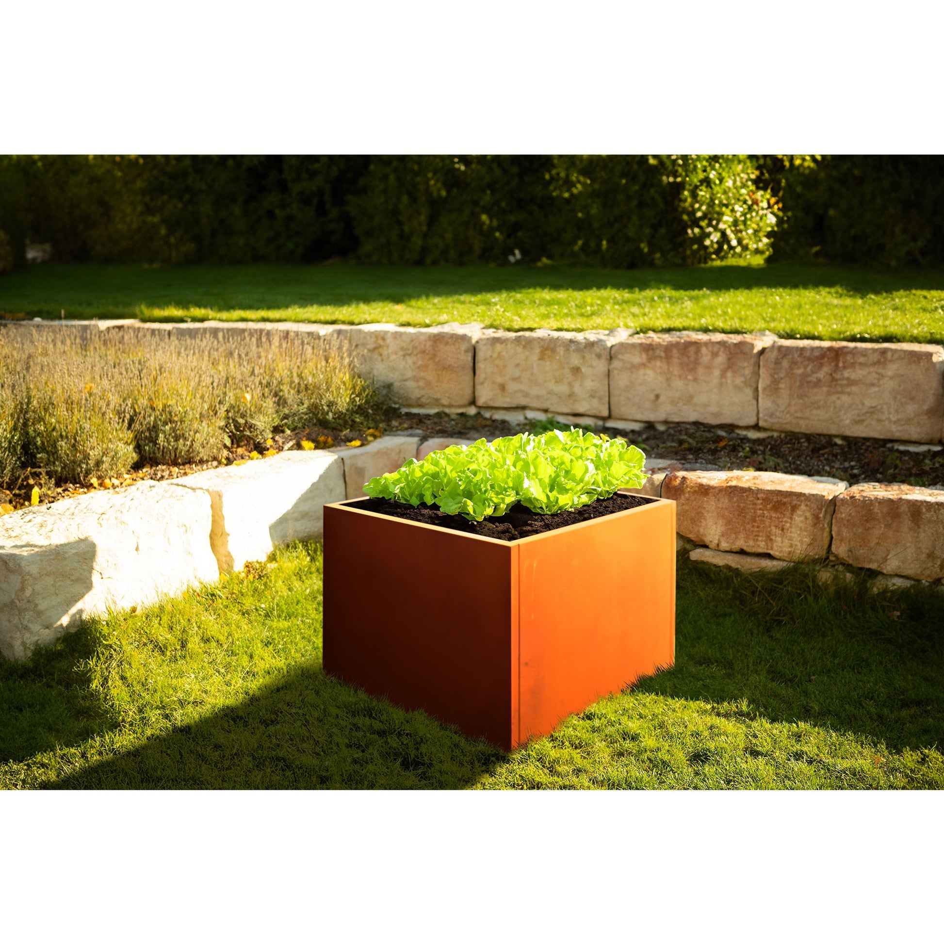 Hochbeet Metall mit Edelrost Patina - Höhe 80 cm - verschiedene Längen