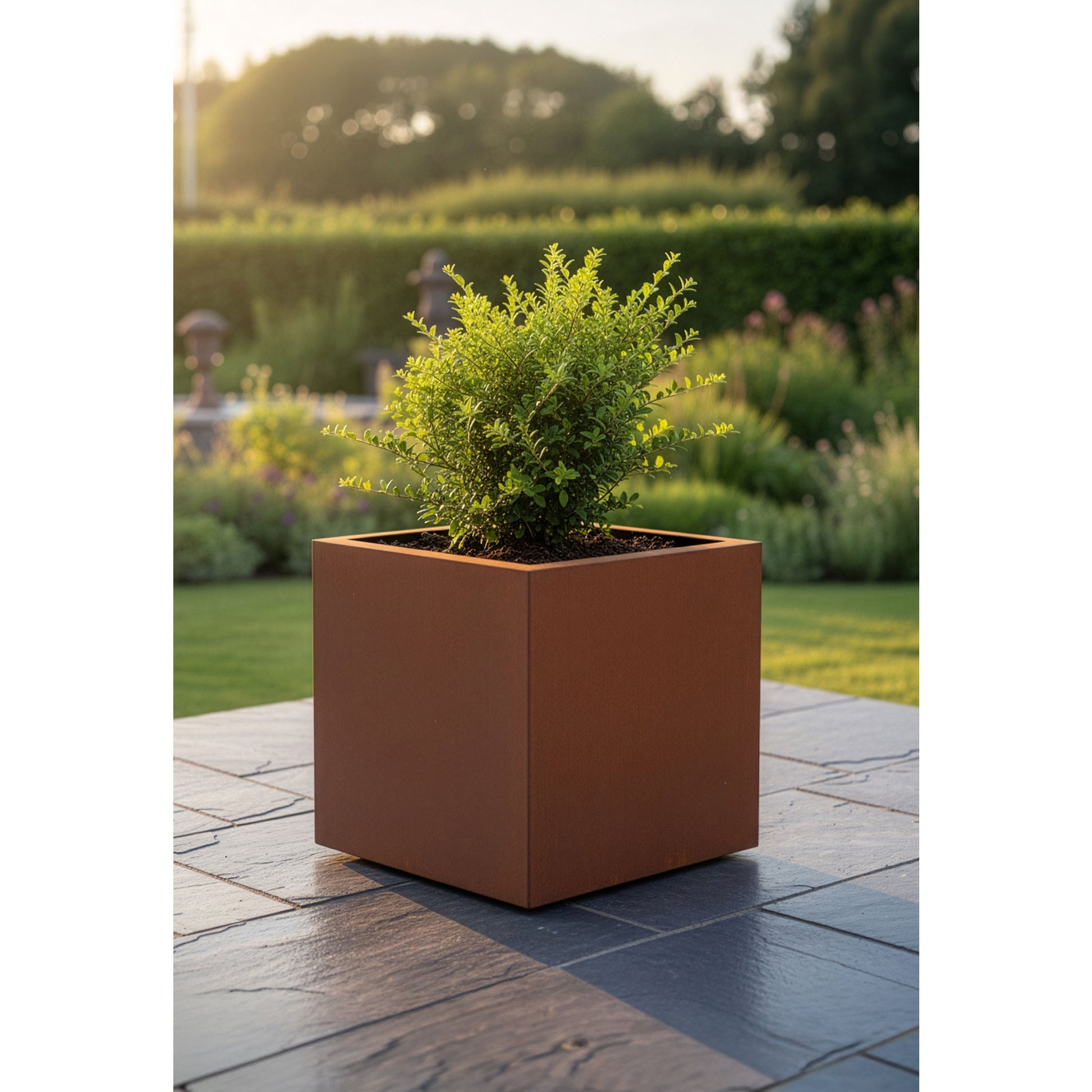 Pflanztrog Cubus Edelrost Pflanzkübel 40x40x42 Pflanzgefäß Metall
