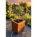 Pflanztrog Cubus Barock aus Metall – Edelrost Pflanzkübel 40×40×42 cm